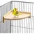 Pet Planet Oiseaux Plateforme d'habitat en bois
