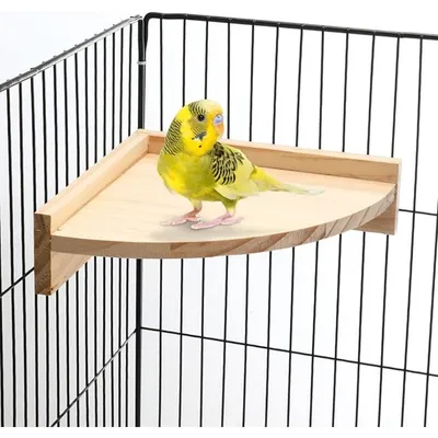 Pet Planet Oiseaux Plateforme d'habitat en bois