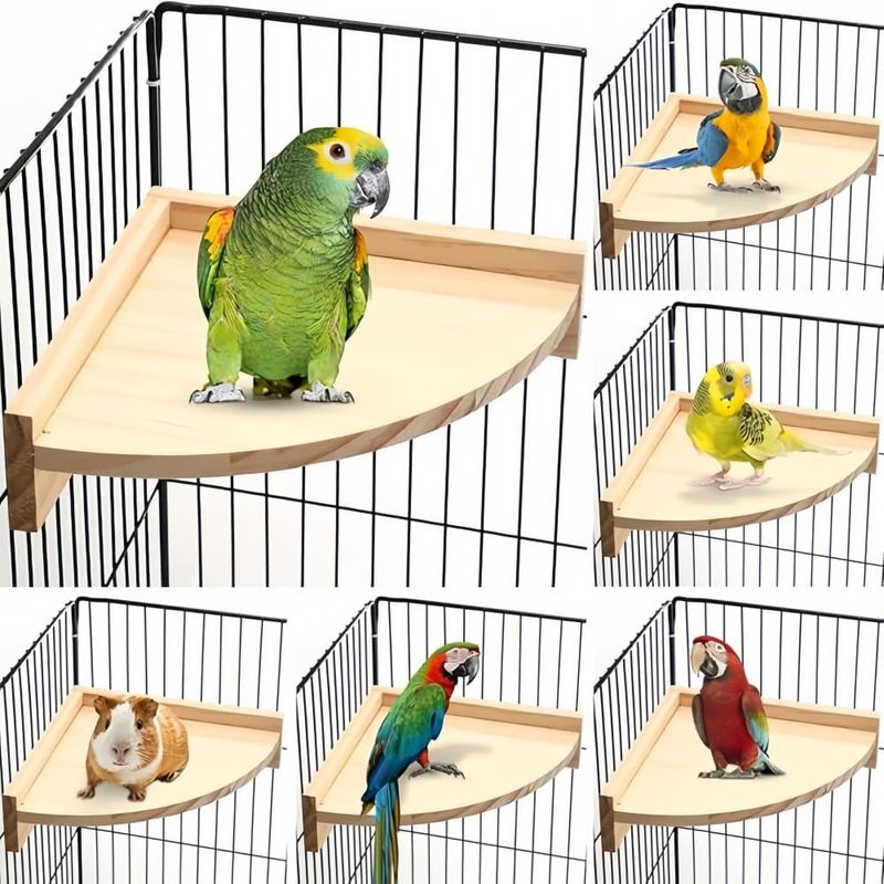 Pet Planet Oiseaux Plateforme d'habitat en bois