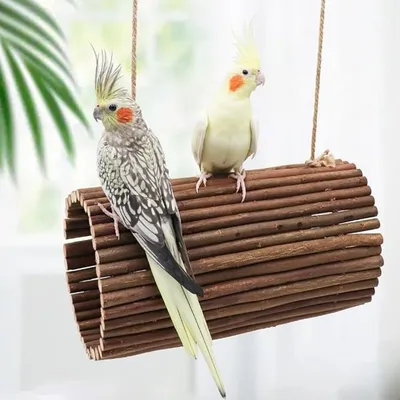 Pet Planet Swing en osier naturel pour oiseaux et petits rongeurs