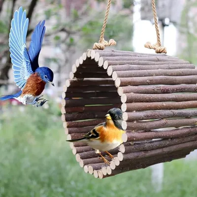 Pet Planet Oiseaux Swing en bois