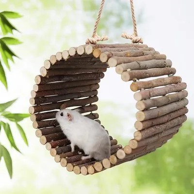 Pet Planet Oiseaux Swing en bois