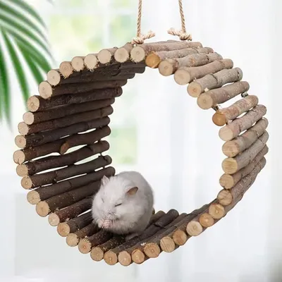 Pet Planet Oiseaux Swing en bois