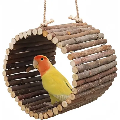 Pet Planet Swing en osier naturel pour oiseaux et petits rongeurs