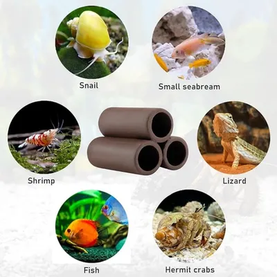 Pet Planet Poissons Cachettes en céramique Pet Planet Poissons Cachettes en céramique