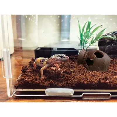 Pet Planet Poissons Abri en céramique pour aquarium