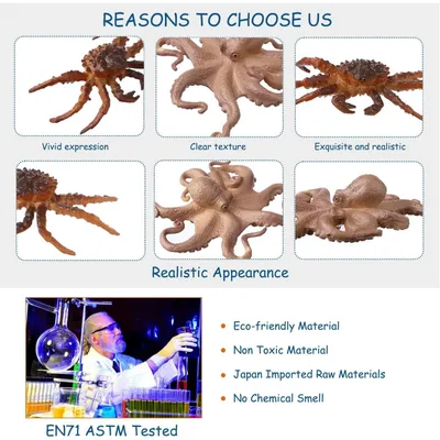 Pet Planet Poissons Figurines d'animaux de l'océan Pet Planet Poissons Figurines d'animaux de l'océan