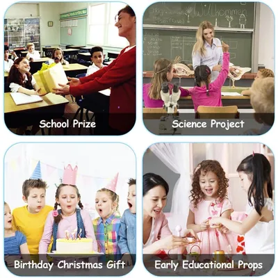 Pet Planet Poissons Figurines d'animaux de l'océan