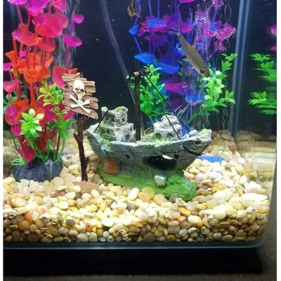 Pet Planet Poissons Panneaux d'avertissement de requin