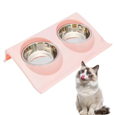 FurryFusion Gamelle double pour chat inclinable à 15°