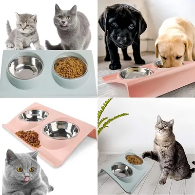 FurryFusion Gamelle double pour chat inclinable à 15°