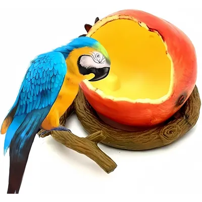 Pet Planet Oiseaux Récipient d'alimentation pour oiseaux