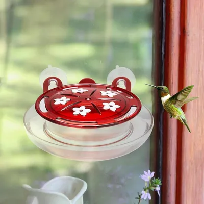 Petopia Mangeoire à colibris