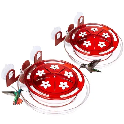 Petopia Mangeoire à colibris