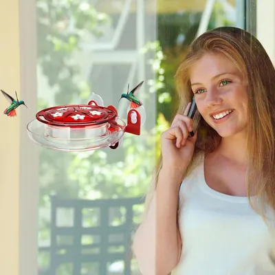 Petopia Mangeoire à colibris