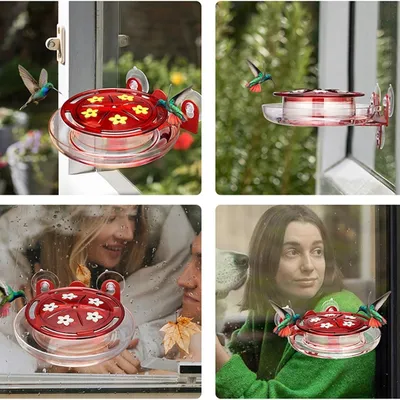 Petopia Mangeoire à colibris