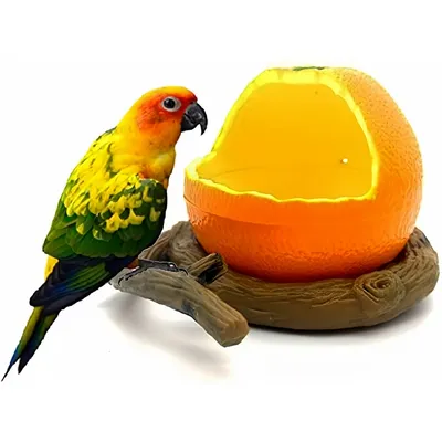 Pet Planet Oiseaux Récipient d'alimentation pour oiseaux