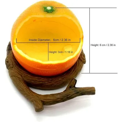 Pet Planet Oiseaux Récipient d'alimentation pour oiseaux