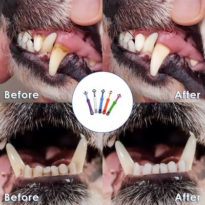 FurryFusion Brosse à dents à trois côtés pour chien