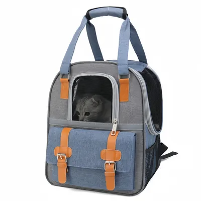 FurryFusion Sac à dos respirant pour chat