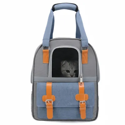 FurryFusion Sac à dos respirant pour chat