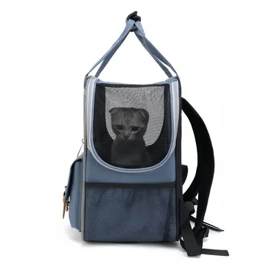 FurryFusion Sac à dos respirant pour chat