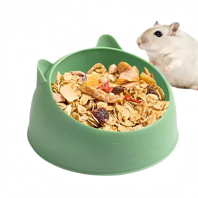 FurryFusion Bol d'alimentation pour rongeurs