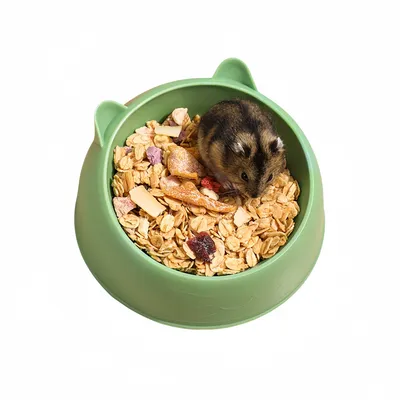 FurryFusion Bol d'alimentation pour rongeurs