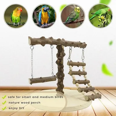 Pet Planet Oiseaux Aire de jeux