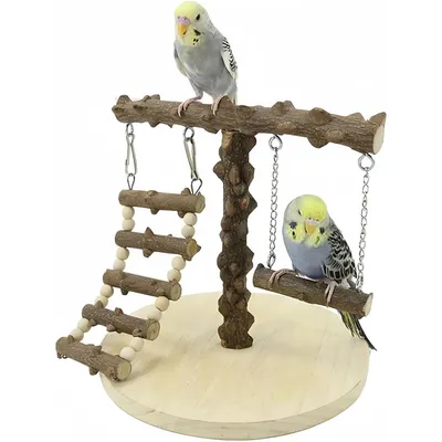 Pet Planet Oiseaux Aire de jeux