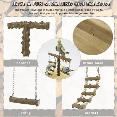 Pet Planet Oiseaux Aire de jeux