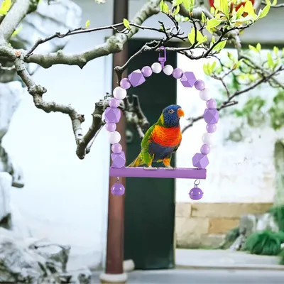 Pet Planet Oiseaux Perchoir en bois