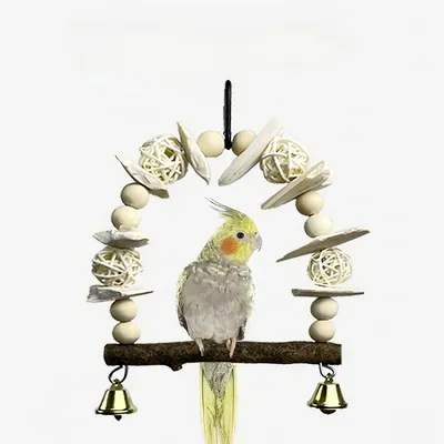 Balançoire en os de seiche