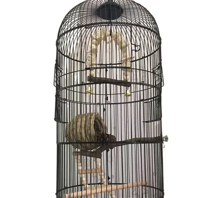 Balançoire en os de seiche