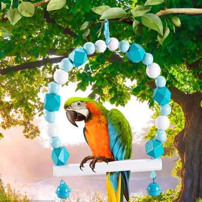 Pet Planet Oiseaux Perchoir en bois