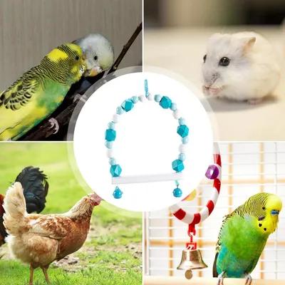 Pet Planet Oiseaux Perchoir en bois