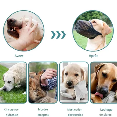 FurryFusion Muselière pour chien