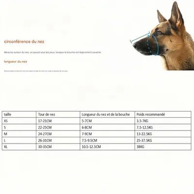 FurryFusion Muselière pour chien