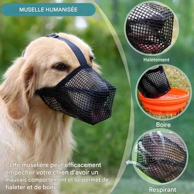 FurryFusion Muselière pour chien