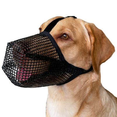 FurryFusion Muselière pour chien