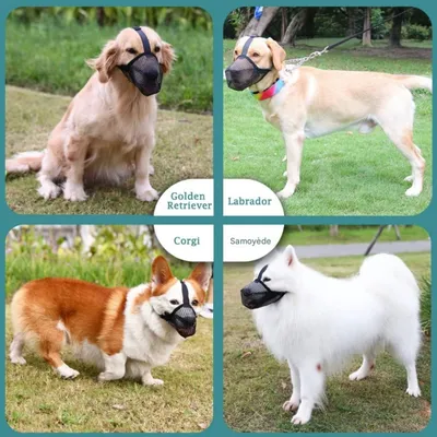 FurryFusion Muselière pour chien