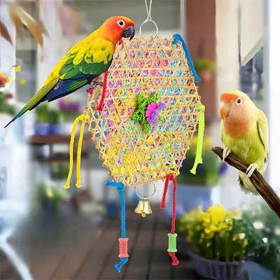 Pet Planet Jouet en ficelle de paille et de bambou pour perroquets