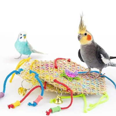 Pet Planet Jouet en ficelle de paille et de bambou pour perroquets
