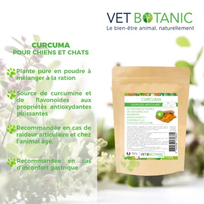 CURCUMA racine pure en poudre - Souplesse articulaire chiens et chats