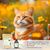 CURCUMA racine pure en poudre - Souplesse articulaire chiens et chats