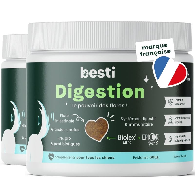 BESTI | Digestion | Compléments Alimentaires Vétérinaires pour Chiens
