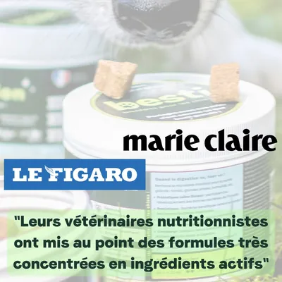 BESTI | Digestion | Compléments Alimentaires Vétérinaires pour Chiens