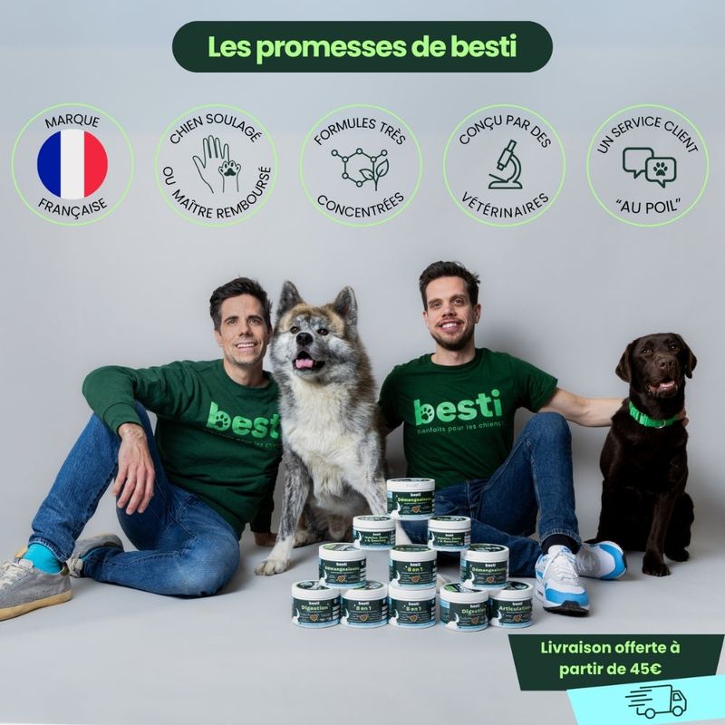 BESTI | Digestion | Compléments Alimentaires Vétérinaires pour Chiens