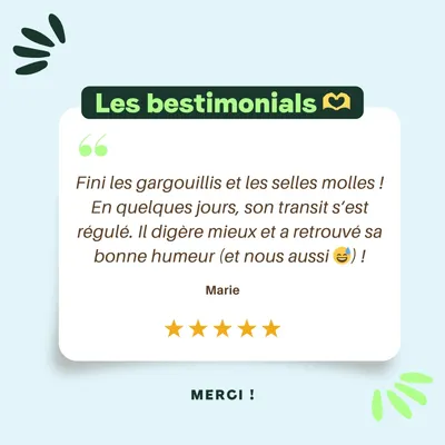 BESTI | Digestion | Compléments Alimentaires Vétérinaires pour Chiens