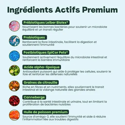 BESTI | Digestion | Compléments Alimentaires Vétérinaires pour Chiens